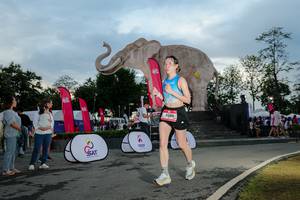 BIB: 
                            <button type="button" onclick="openModal(26529415)" class="btn btn-primary btn-sm float-right btn-popup" data-toggle="modal" data-target=".modal-high-quality">
                        <i class="fas fa-shopping-cart"></i> Add to Cart
                    </button>
                                            <button type="button" onclick="isThisMe(26529415, true)" class="btn btn-success btn-sm float-right btn-popup btn-isme hidden" data-toggle="tooltip" data-placement="bottom" title="นี่คือรูปของคุณใช่ไหม คลิกที่นี่เพื่อเอาเข้าอัลบั้ม">
                        <i class="fas fa-plus"></i> Add to album
                    </button>
                    <button type="button" onclick="isThisMe(26529415, false)" class="btn btn-warning btn-sm float-right btn-popup btn-isnotme hidden">
                        <i class="fas fa-ban"></i> Remove from album
                    </button>